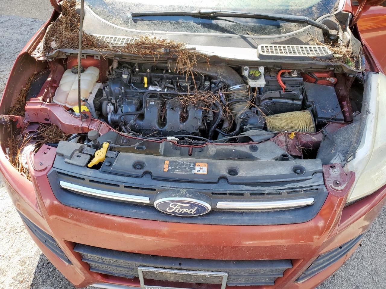 Ford Escape Se Image 10