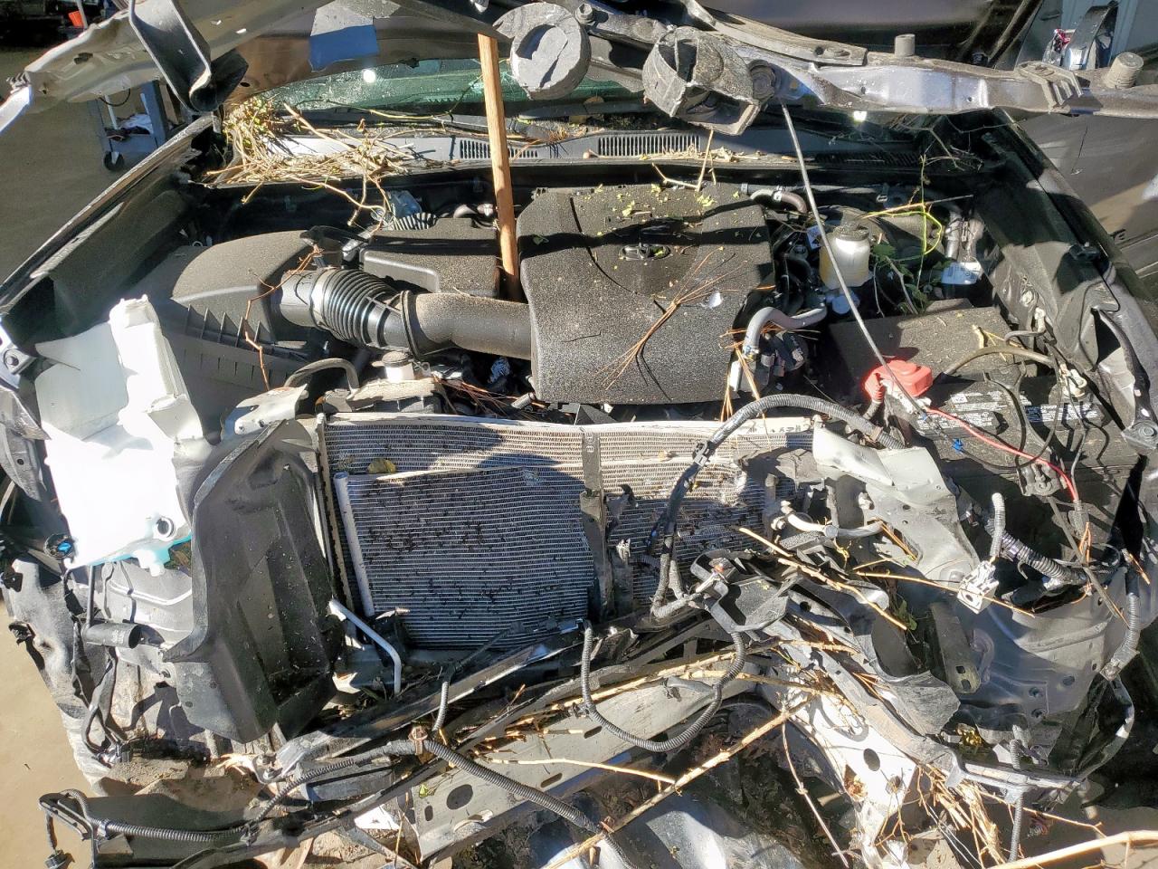 Toyota Tacoma Double Cab Image 10