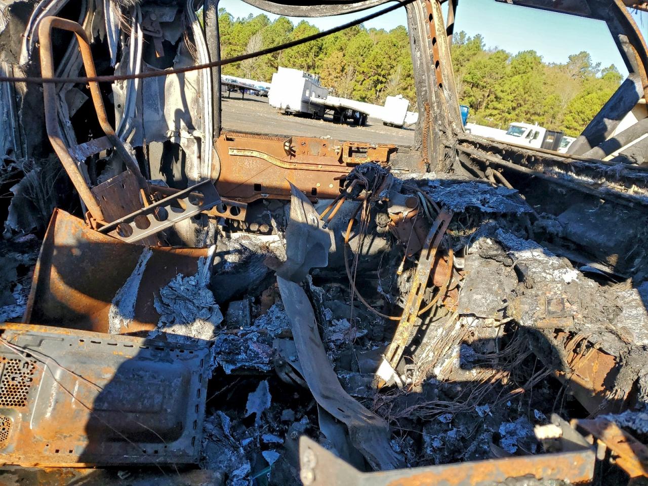 Peterbilt 389 Image 8