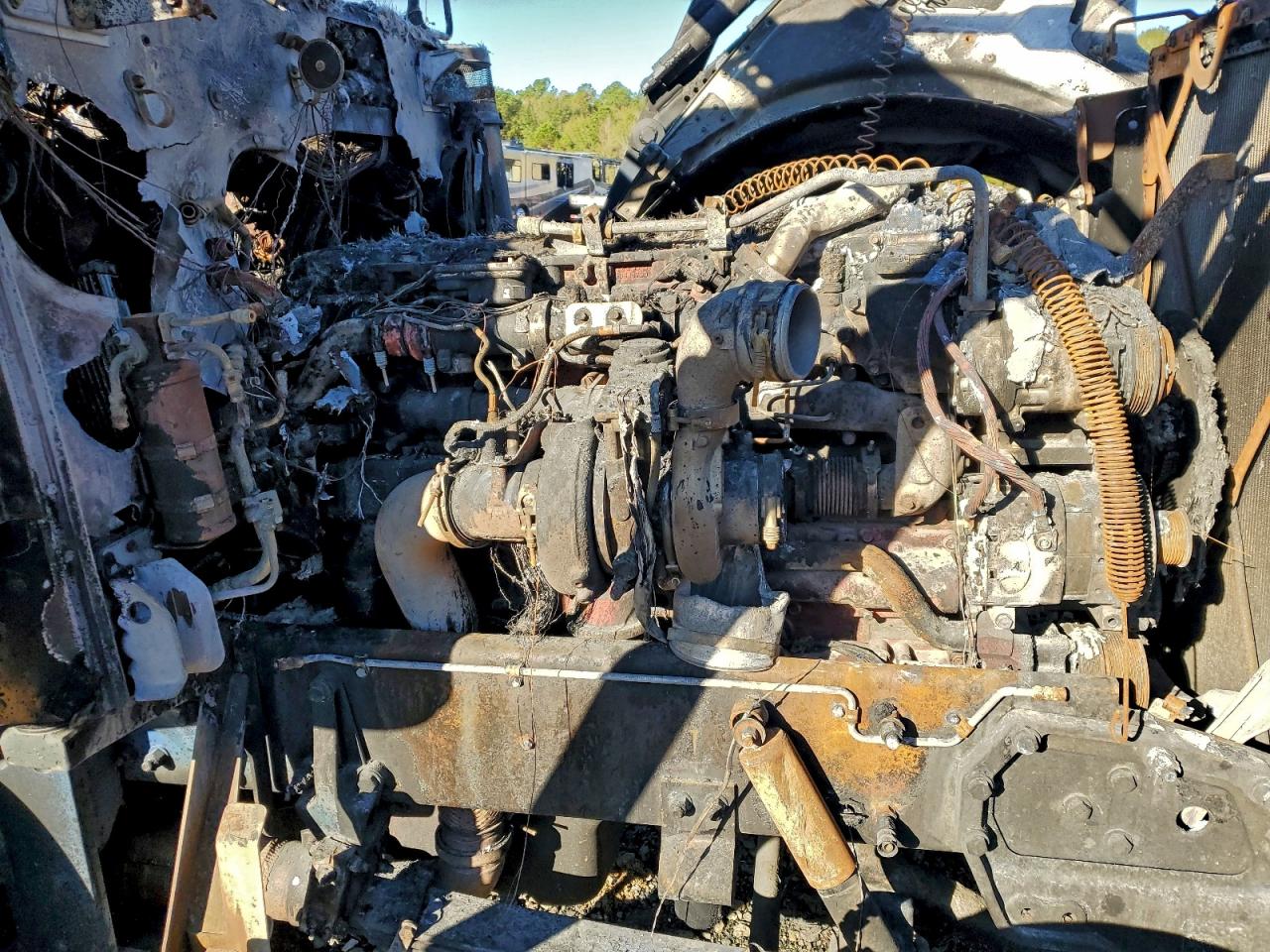 Peterbilt 389 Image 6