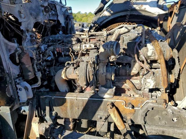 Peterbilt 389 Image 6