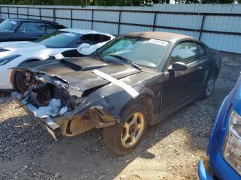  Salvage Ford Mustang