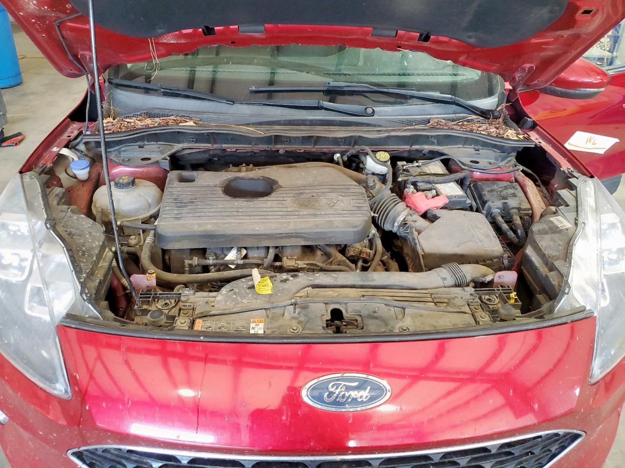 Ford Escape Titanium Image 10