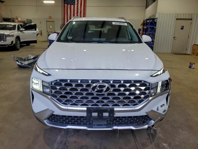 Hyundai SANTA FE Sel Image 5