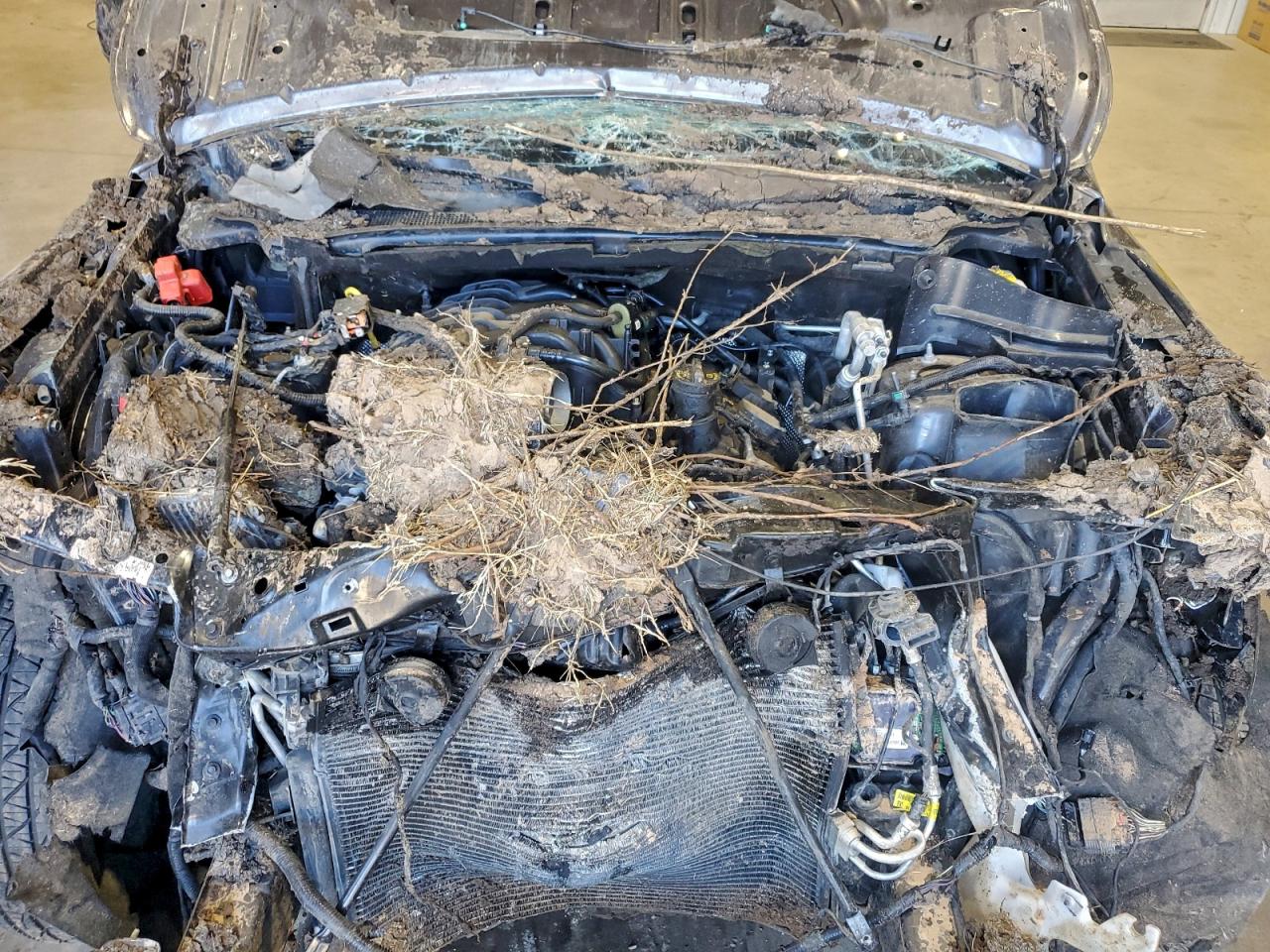 Jeep Grand Cherokee Laredo Image 11