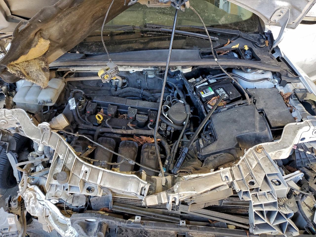 Ford Focus Se Image 9