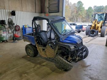  Salvage Honda Pioneer