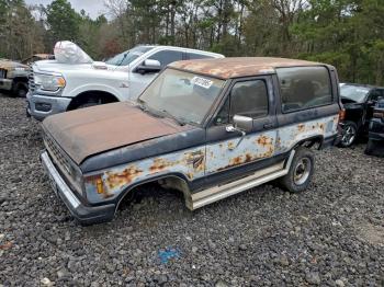  Salvage Ford Bronco